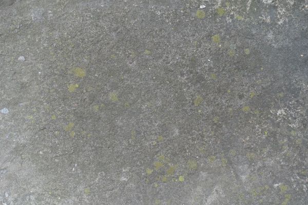 Cost of Slab Staining Service in State College